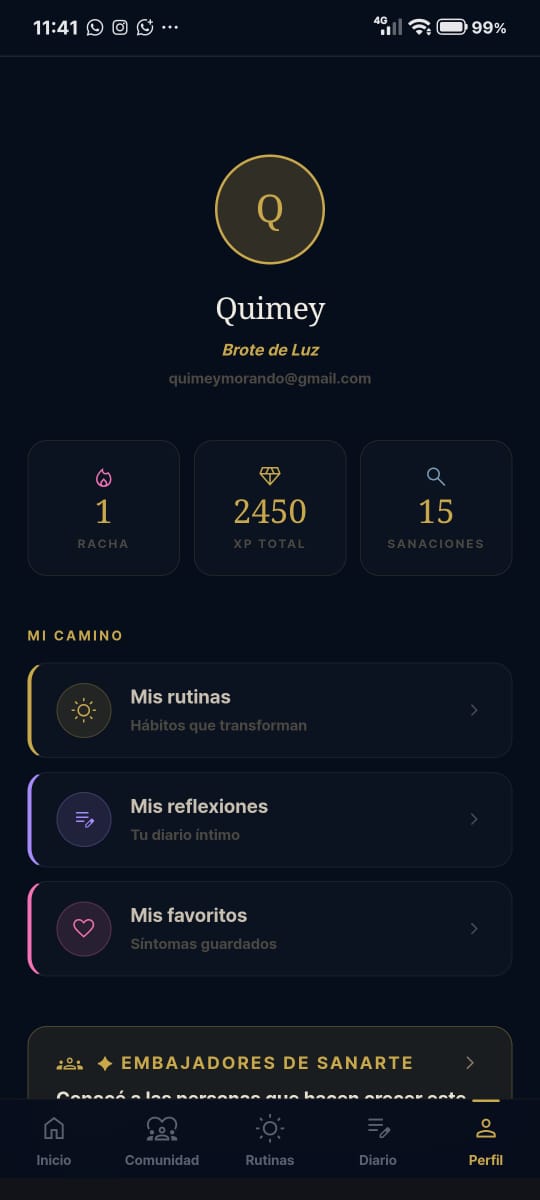 Panel de progreso de SanArte
